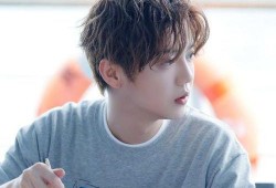 圈内爆料鹿晗肖战,揭秘娱乐圈的神秘恋情与友情