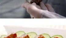 网友爆料鸭脖视频大全集,鸭脖视频大全集，揭秘美食背后的故事