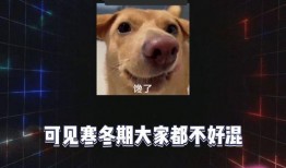 八卦吃瓜爆料娱乐,娱乐圈最新爆料大揭秘！