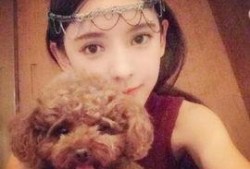 娱乐星爆料张予曦,揭秘明星背后的故事